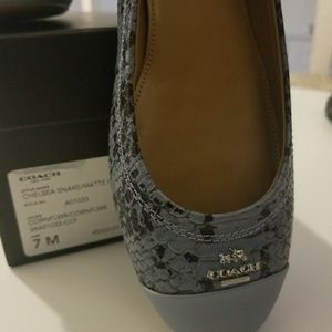 Coach ballerina flats